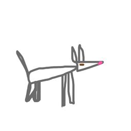 grey dog