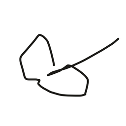 Nameless Scribble