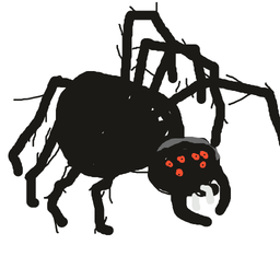 a spider