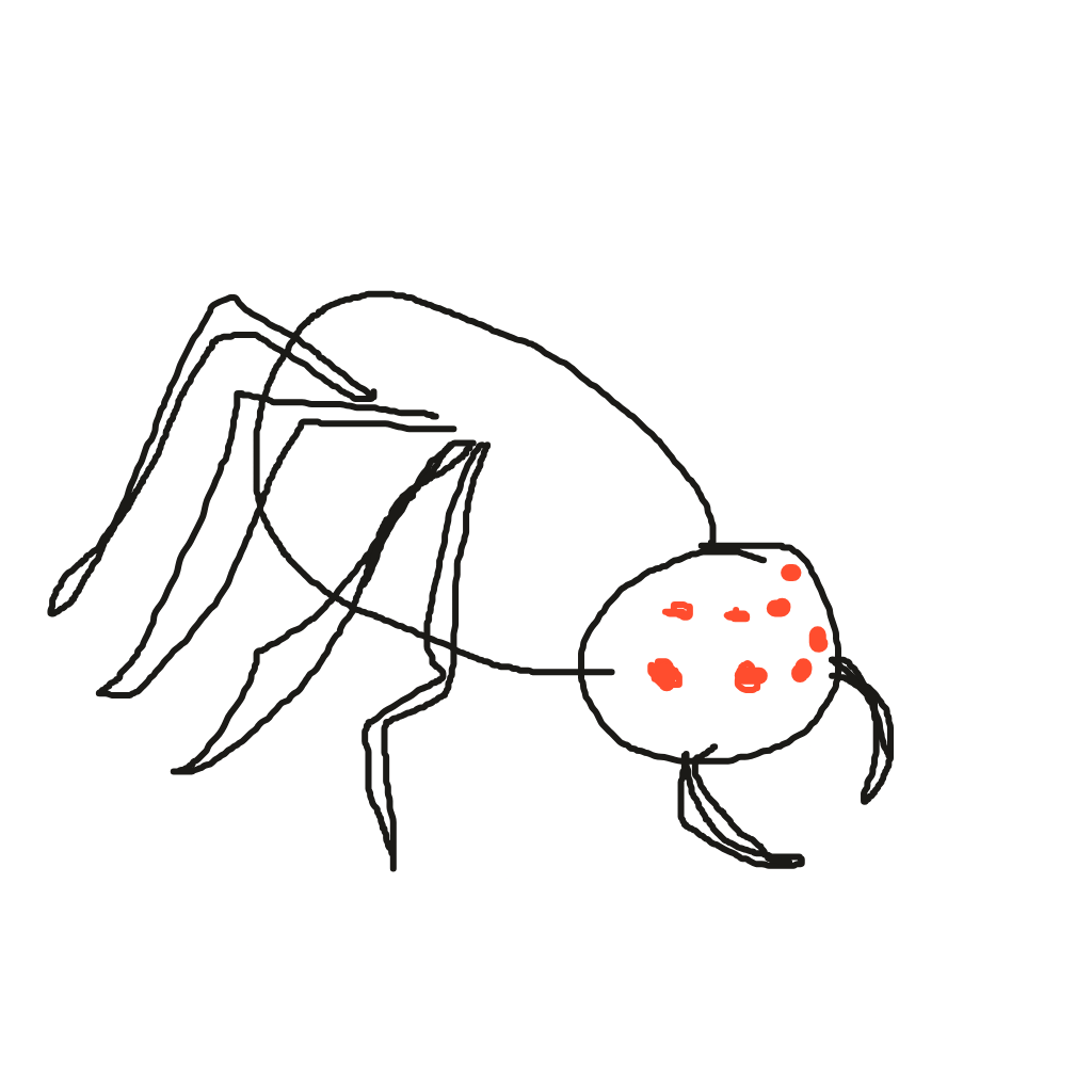 a spider — The original