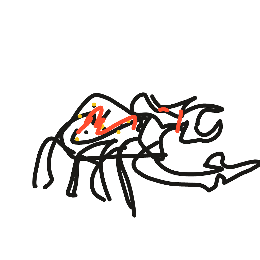 Drawing of Redbackle