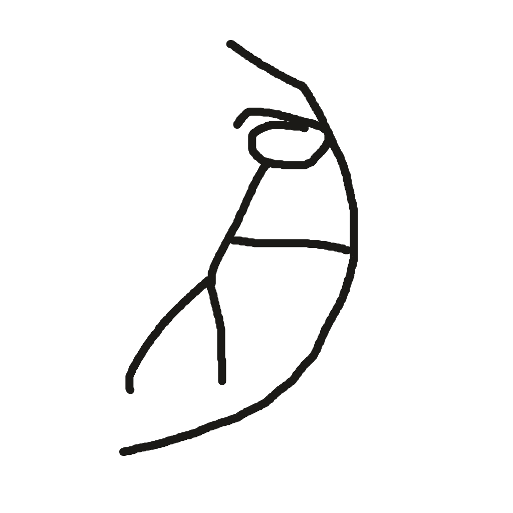 Drawing of Nameless Scribble