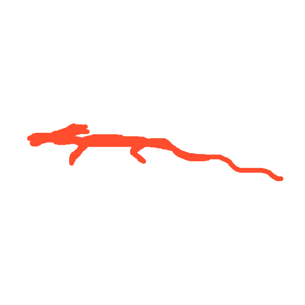 Handheld Dragon